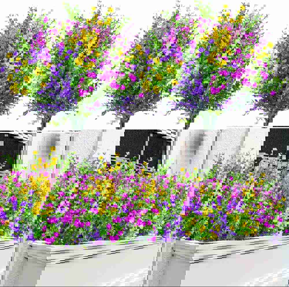 556189