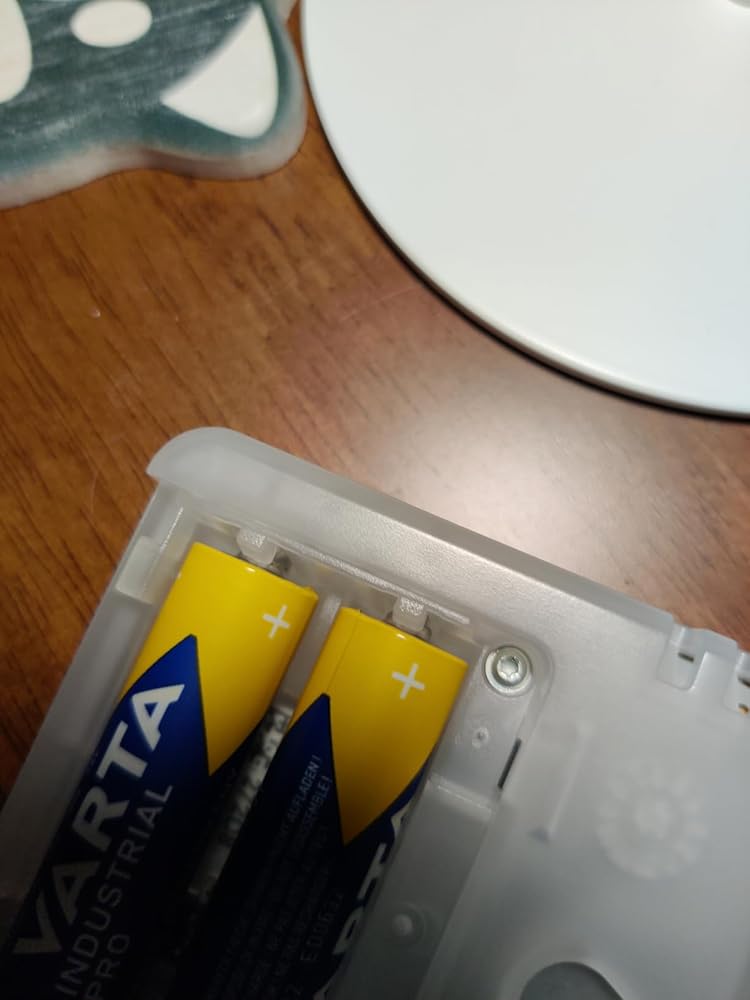 544498