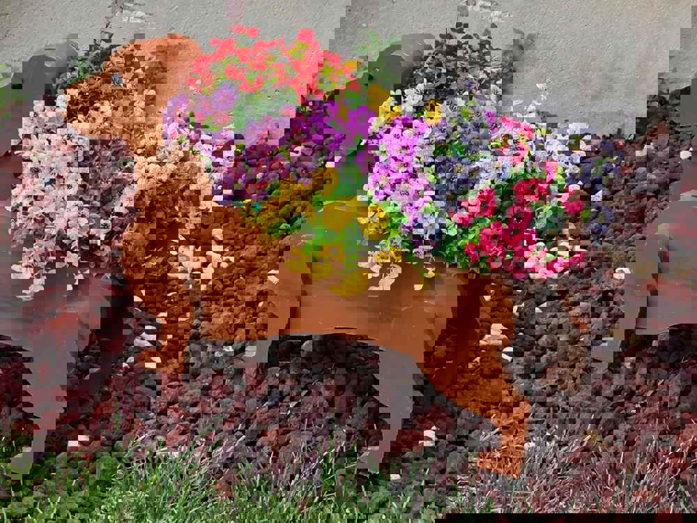 546097
