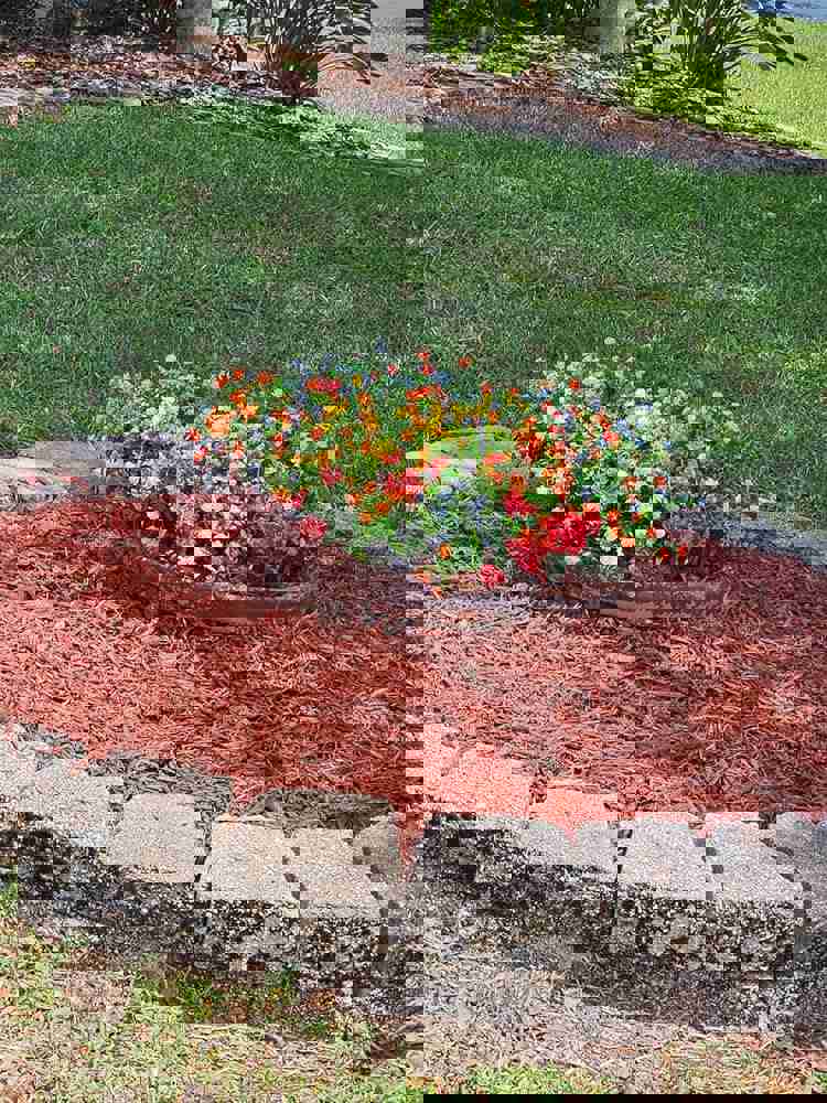 544418