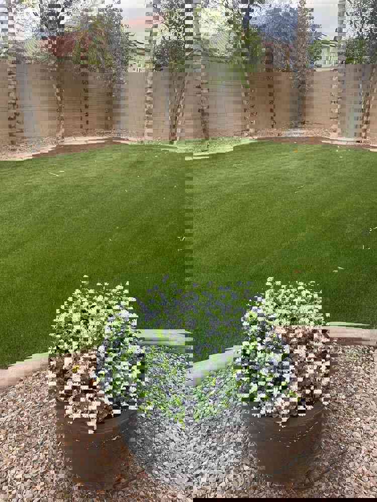 546079