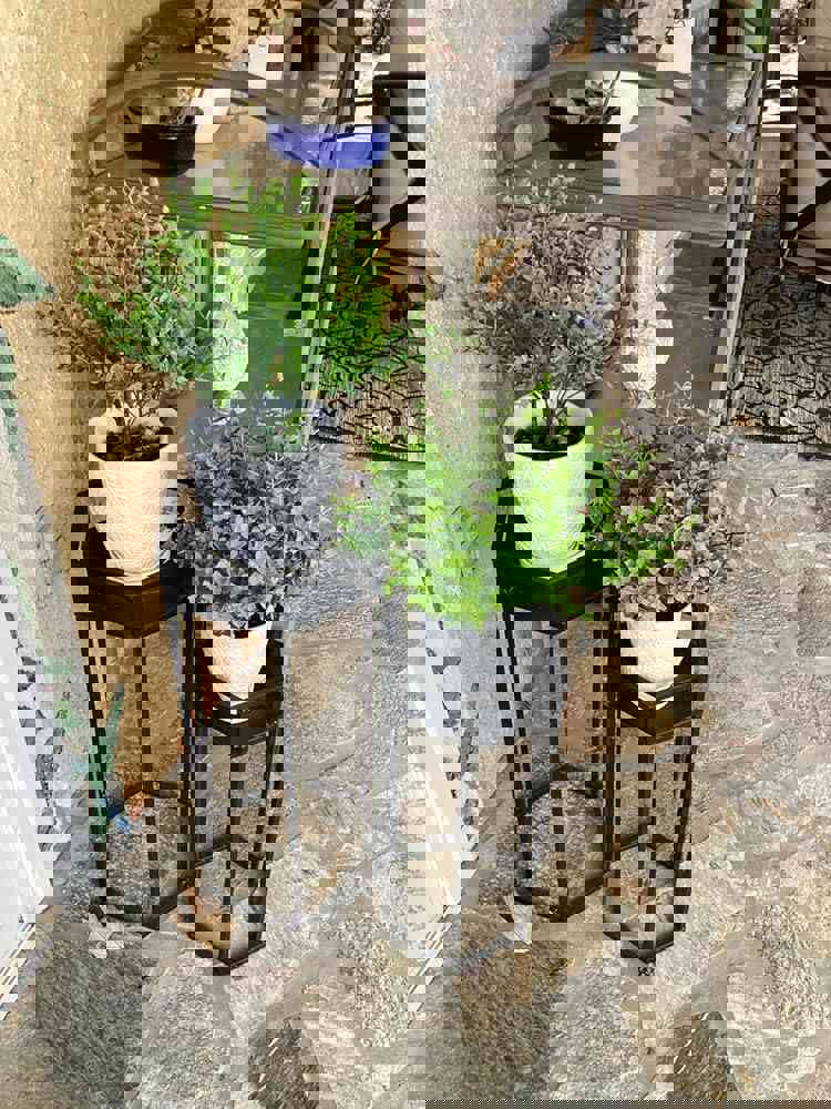 546083