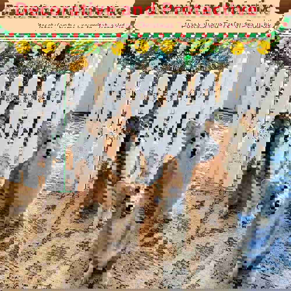 556646