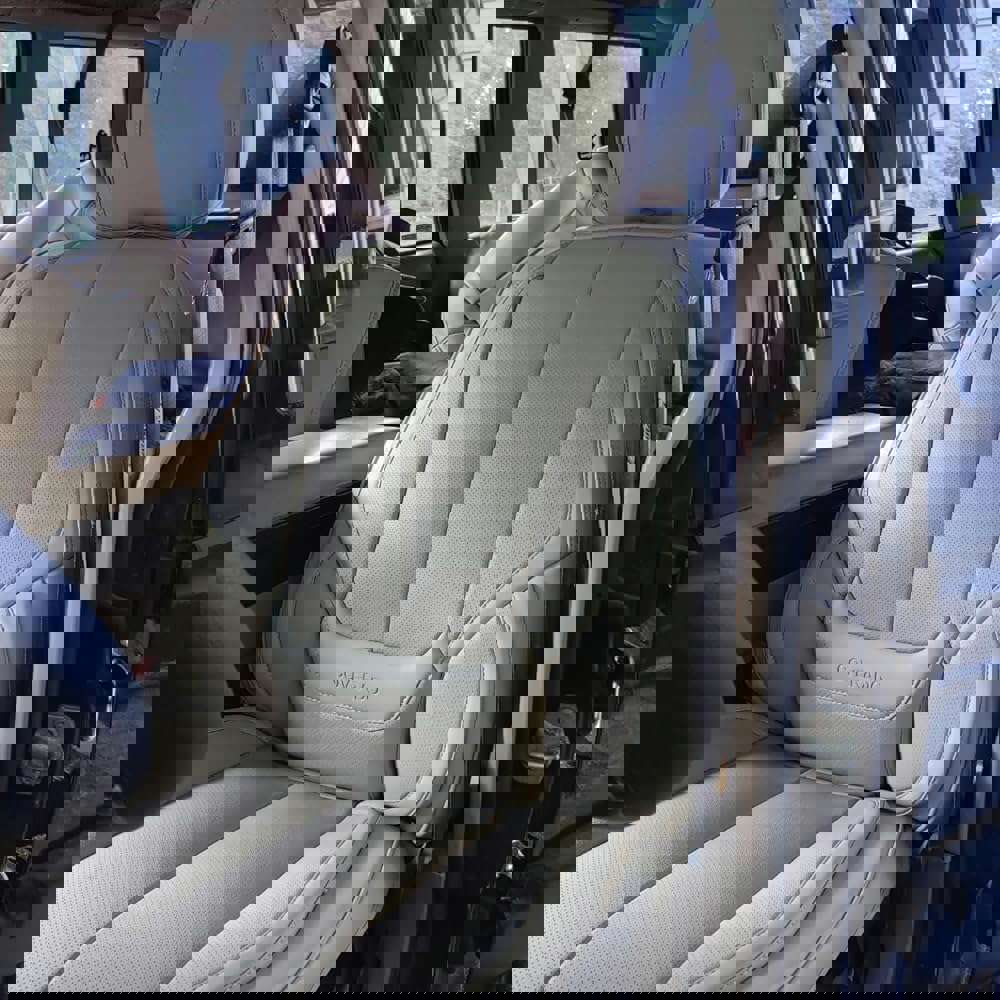 556556