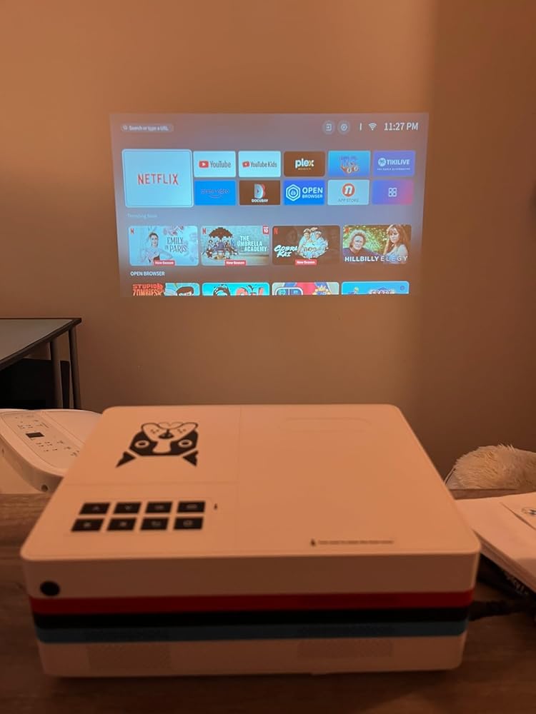 556238