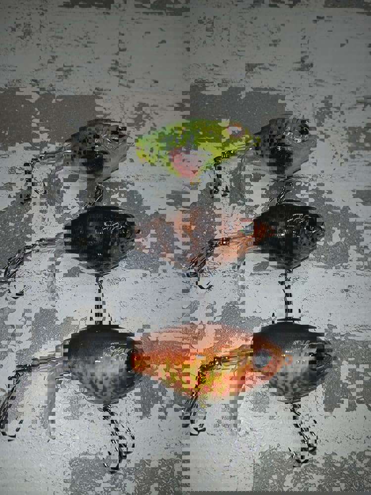 573786