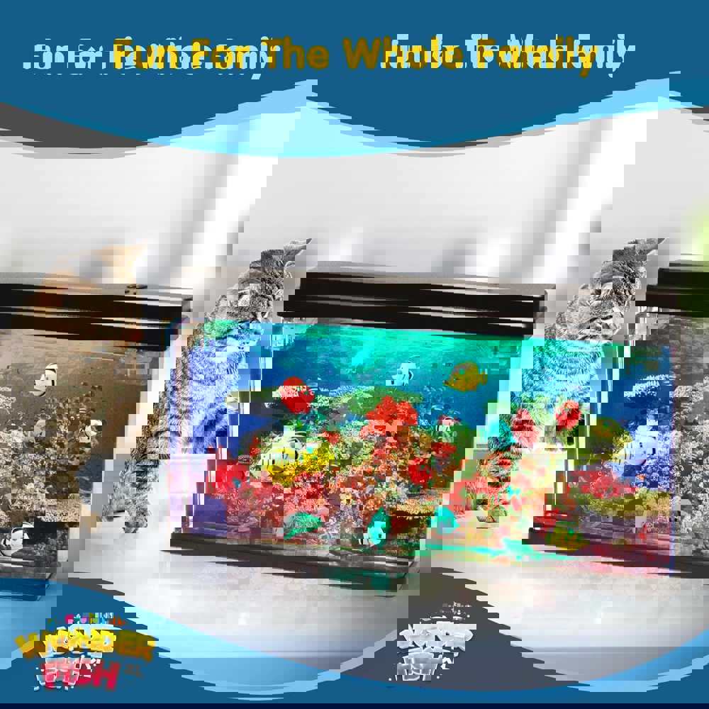 565096