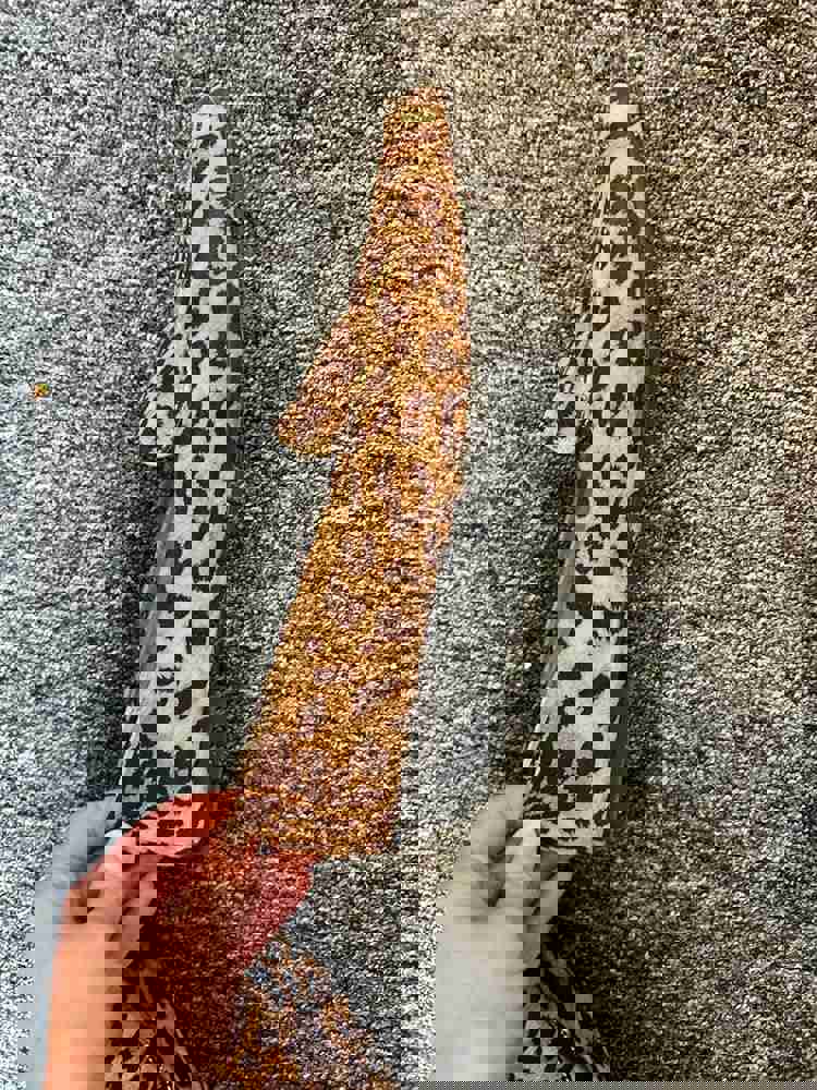 566084
