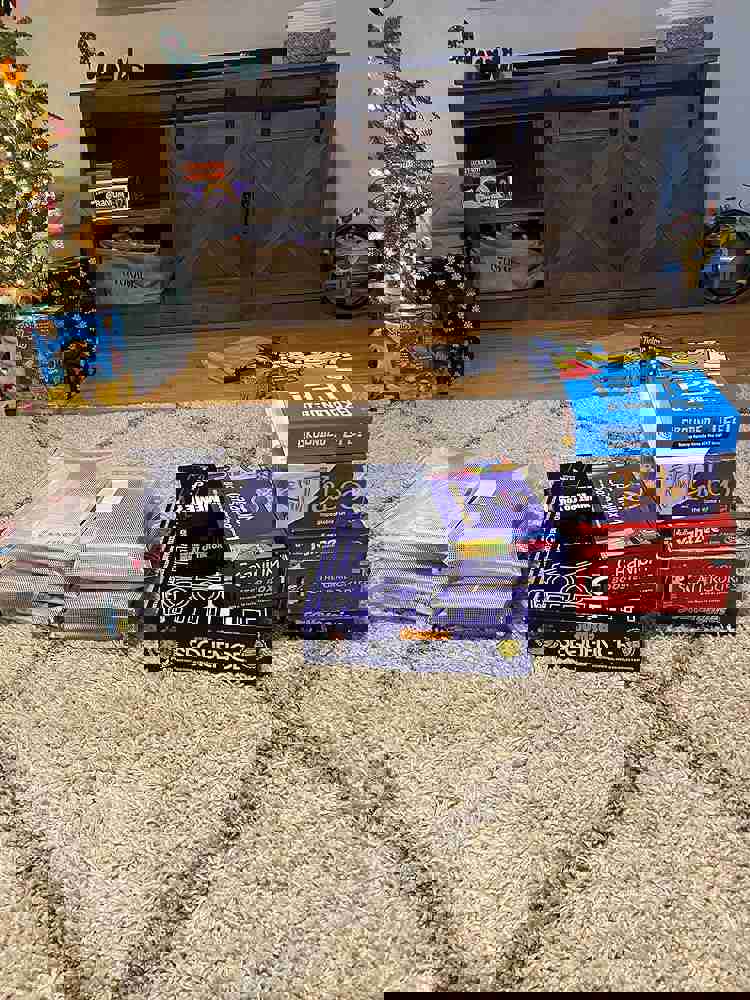 576019