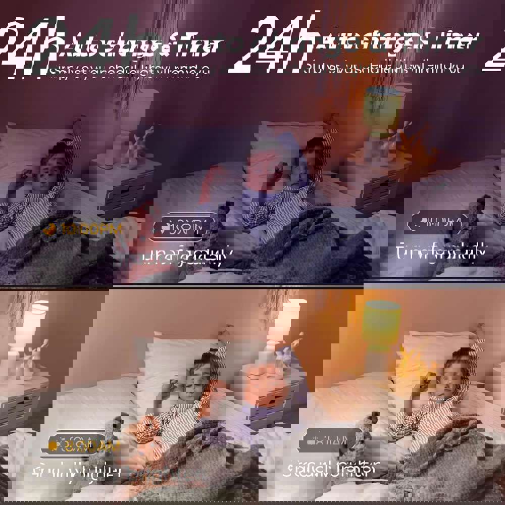 566517