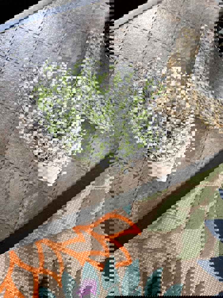 581570