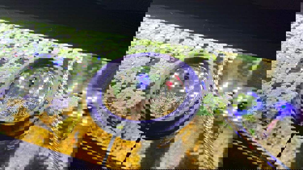 594874