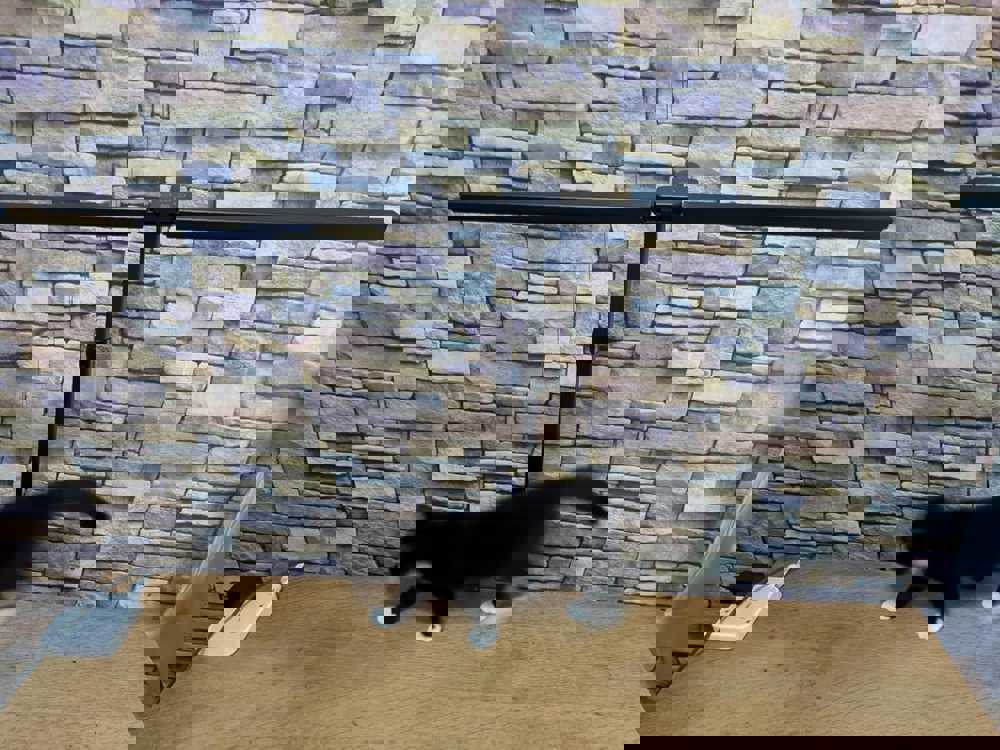 615231