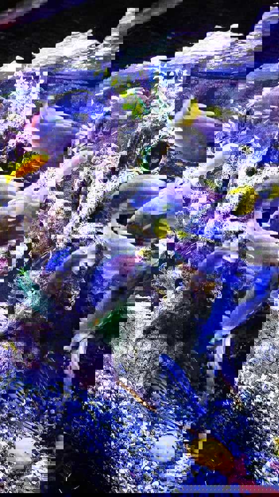 615024