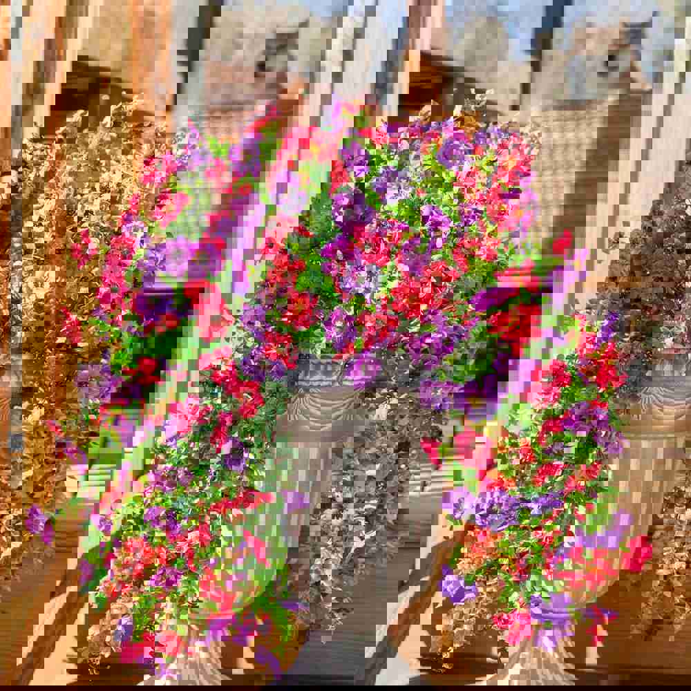 615119