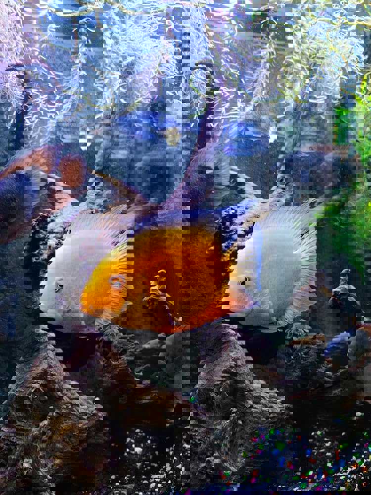 615030