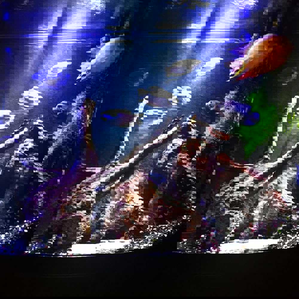 615023