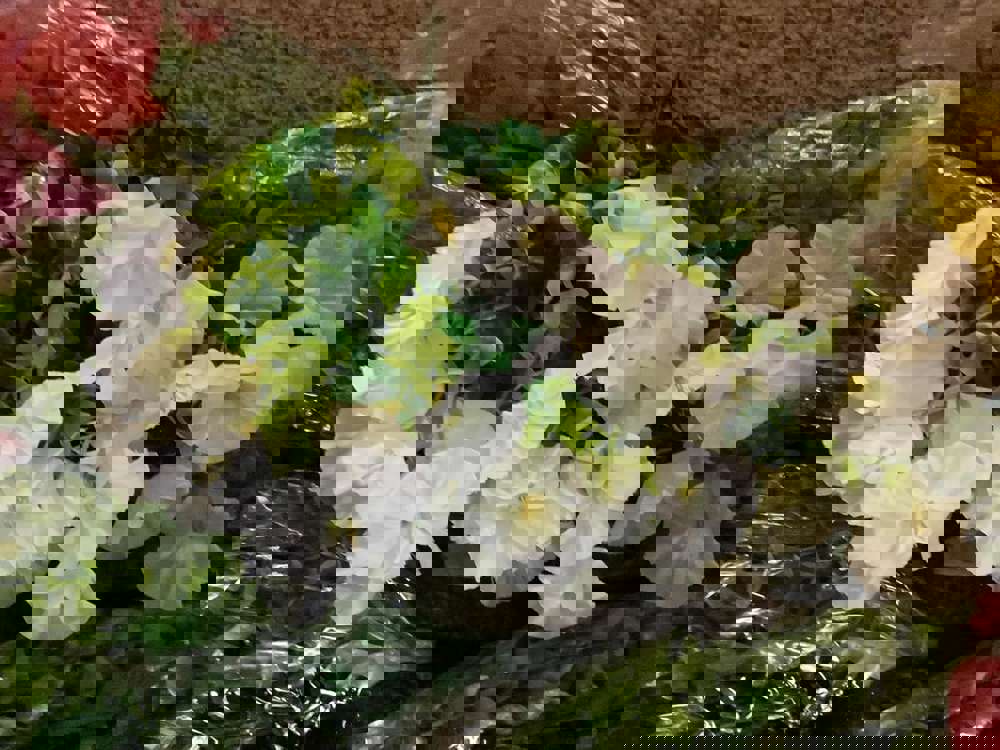 616258