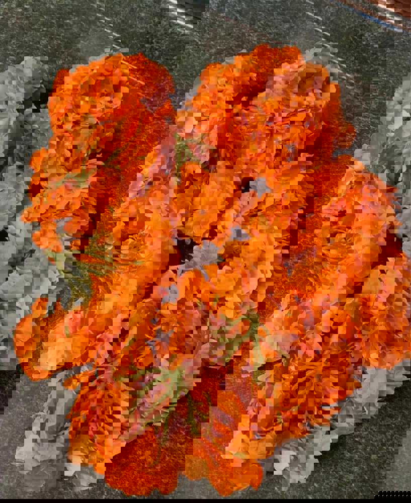603999