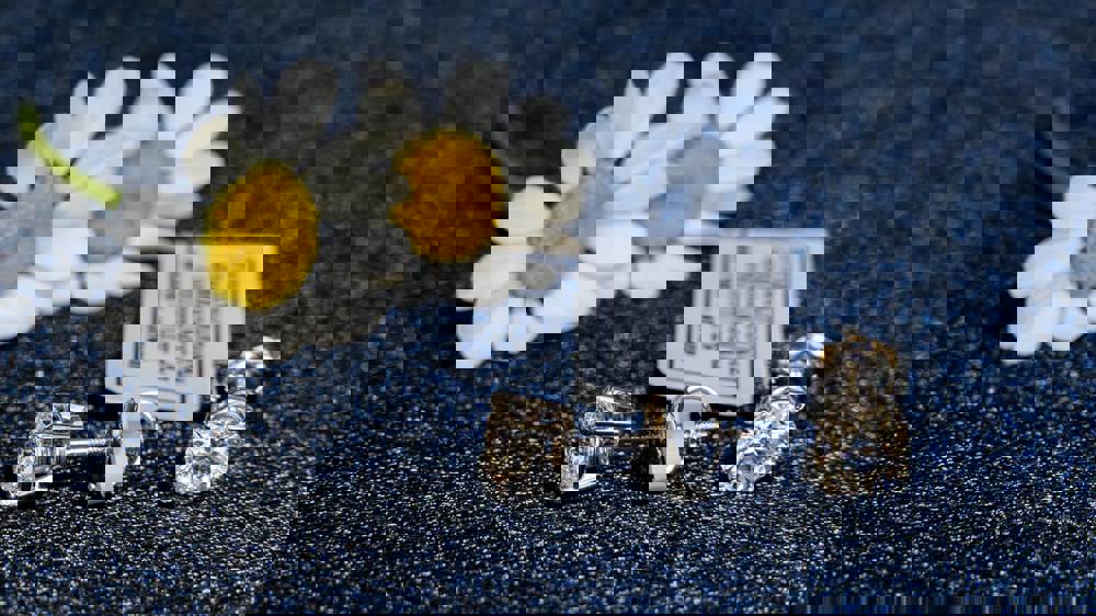 626068