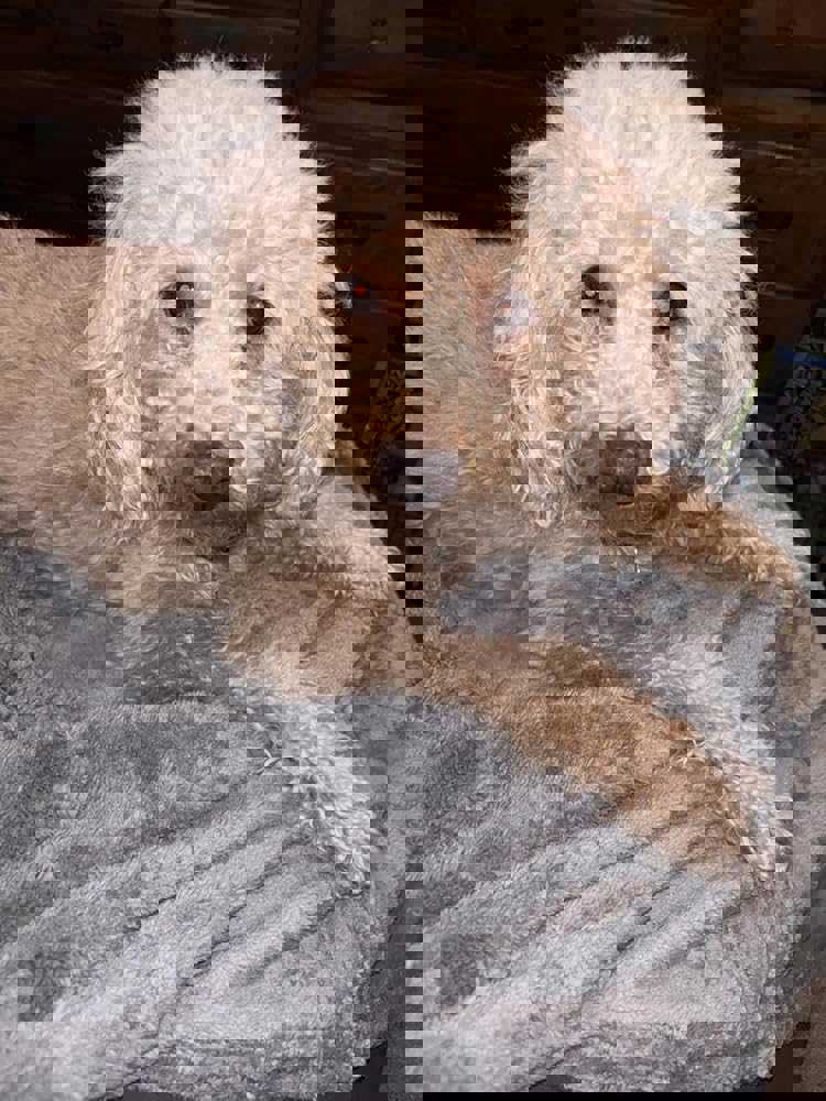 837051