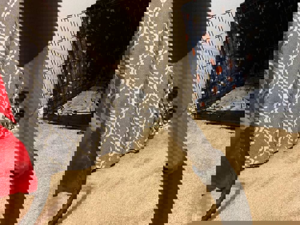 833106