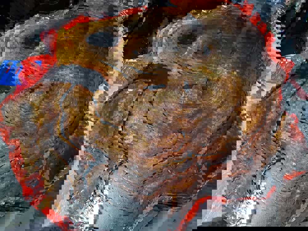 841248