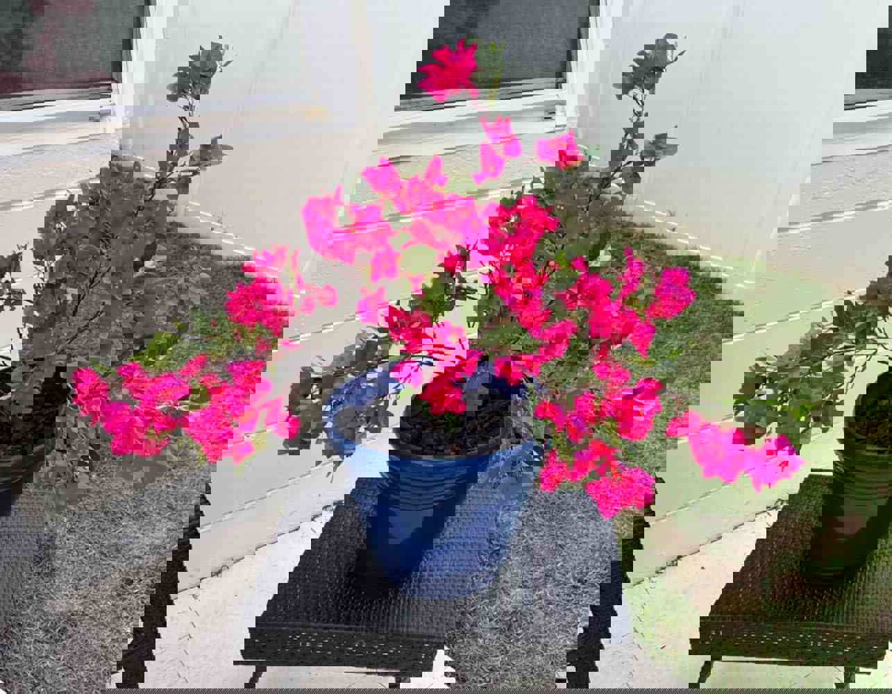 860639
