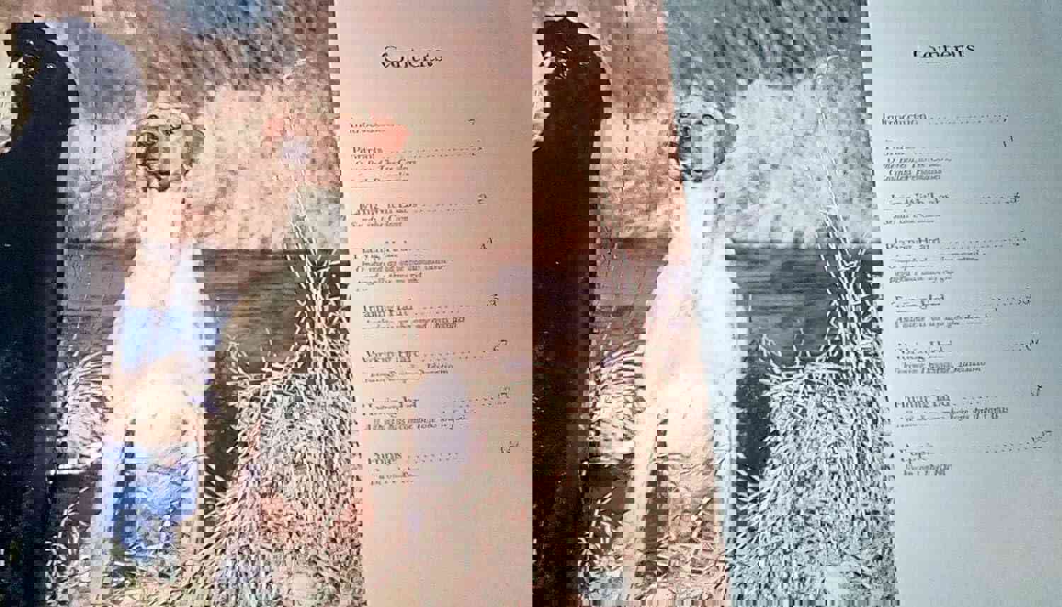 858605