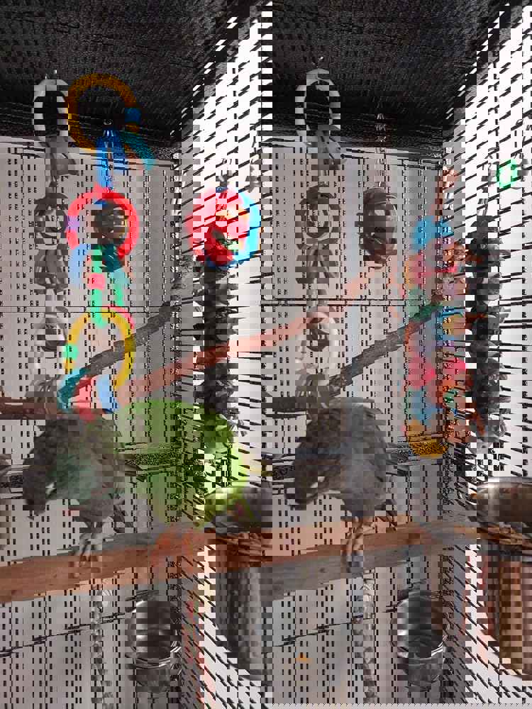 858647