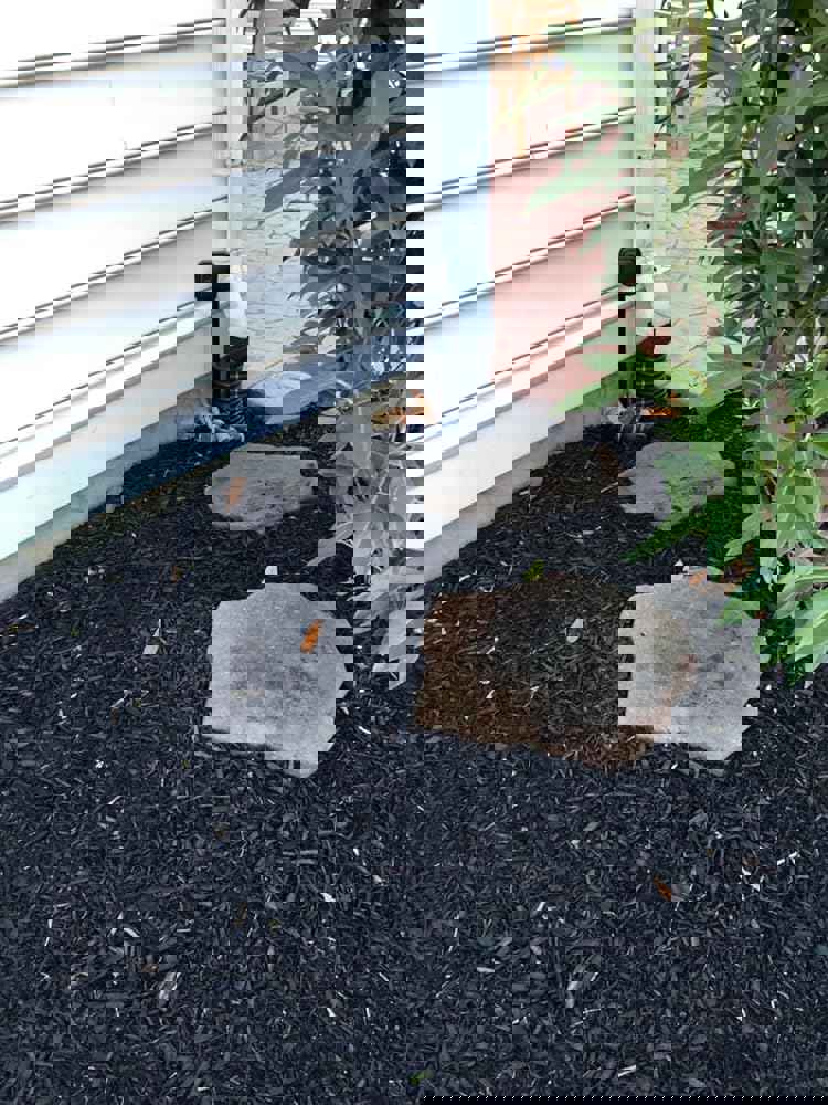 876178