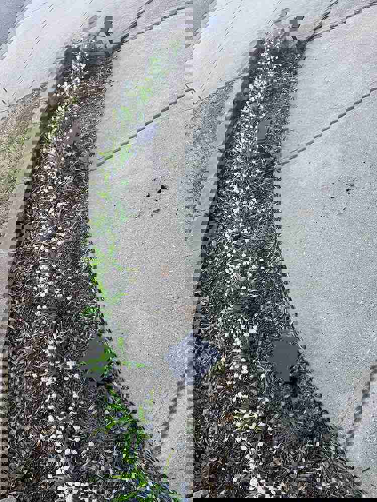 888900