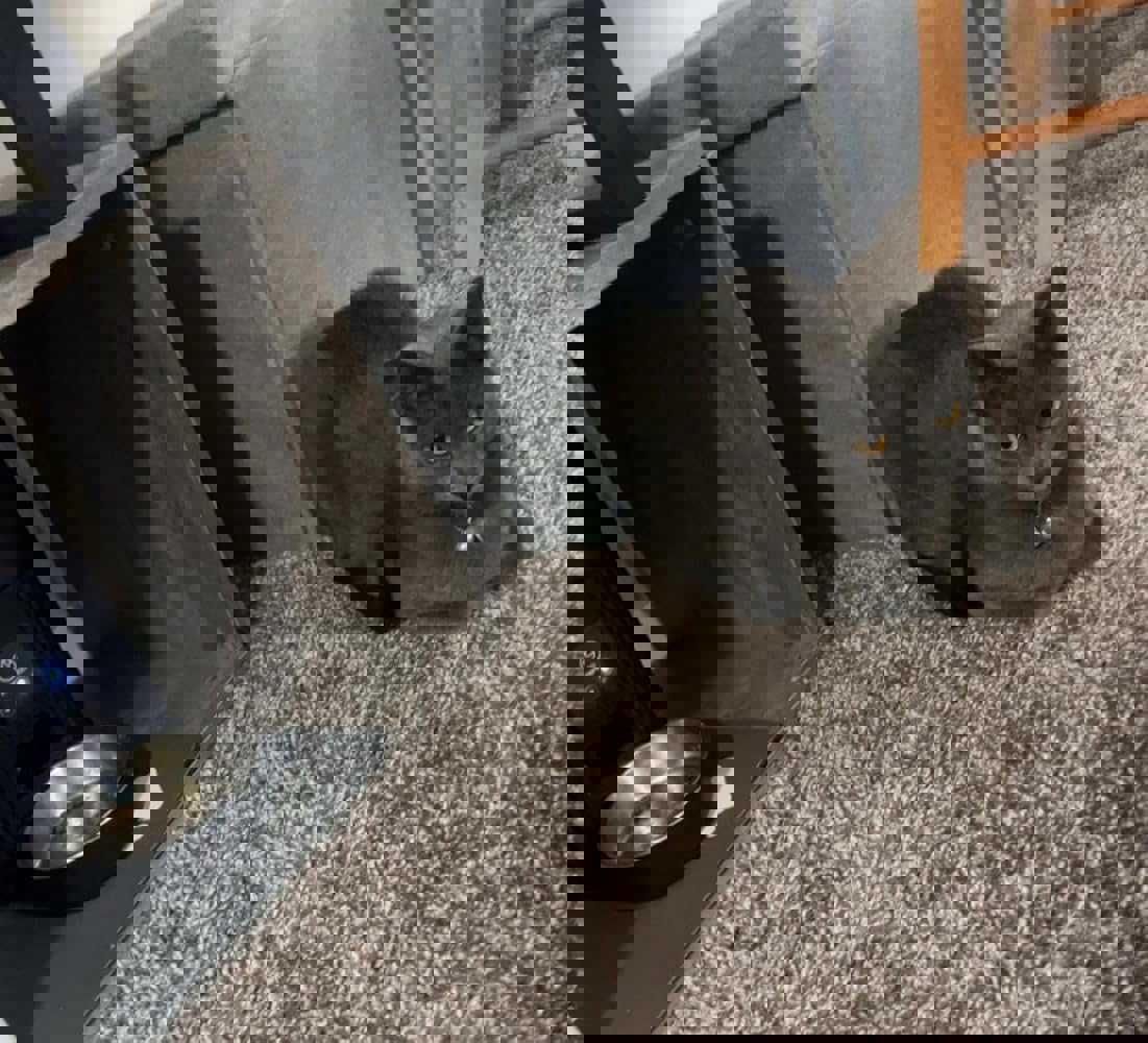 888856