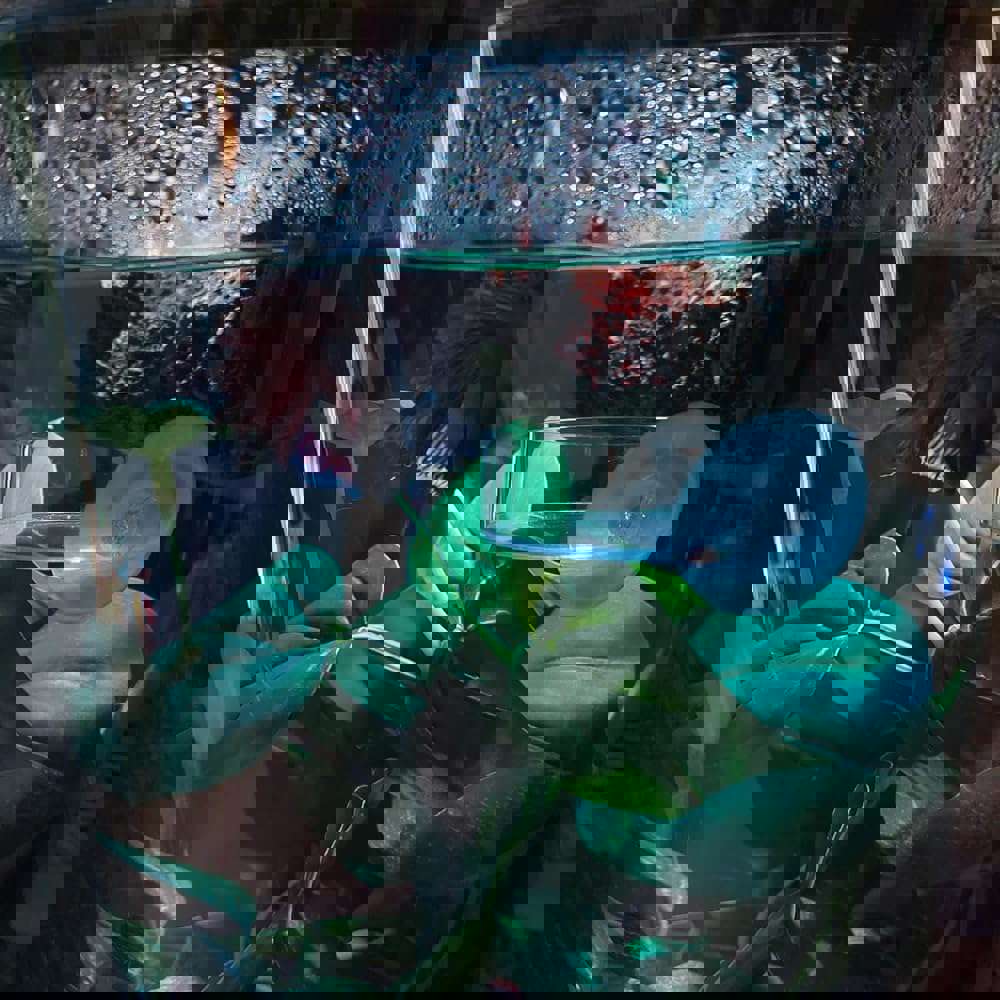 888708