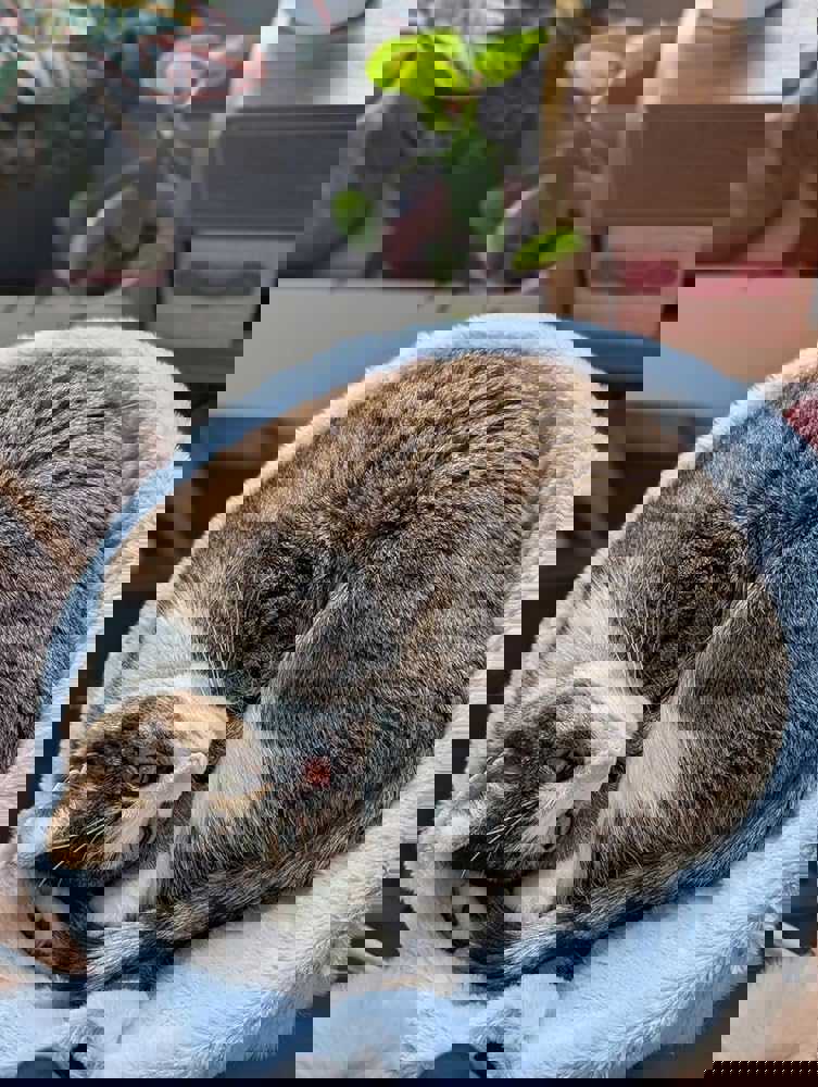 898764