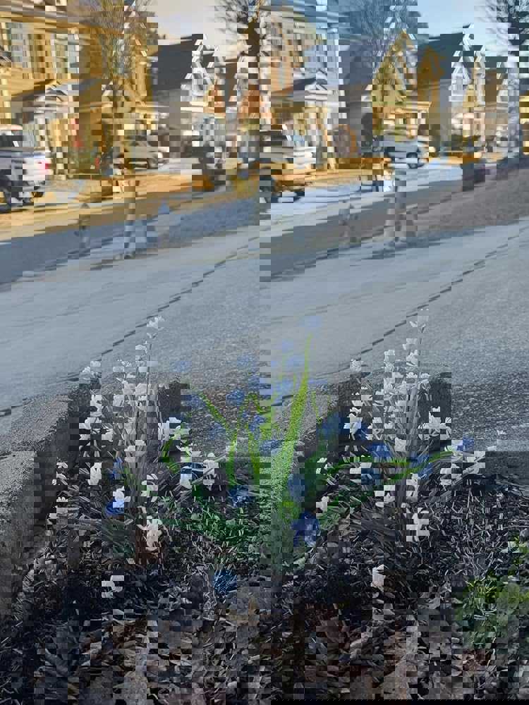 888903