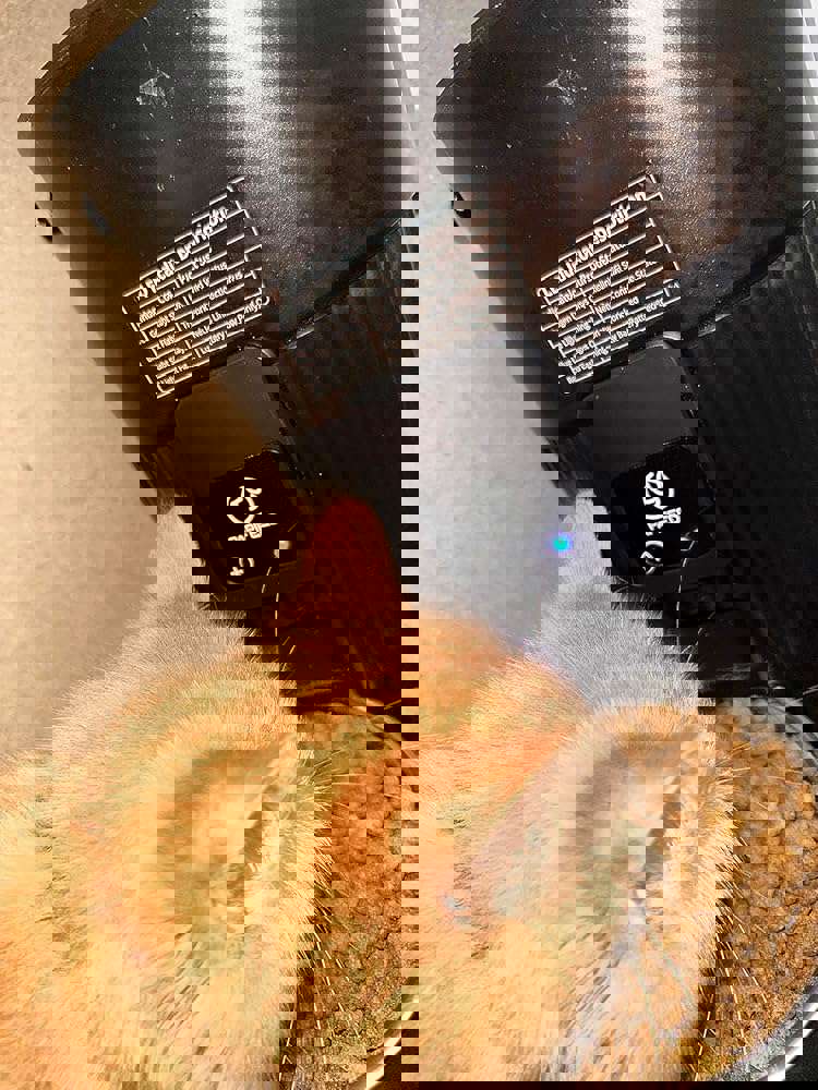 888866