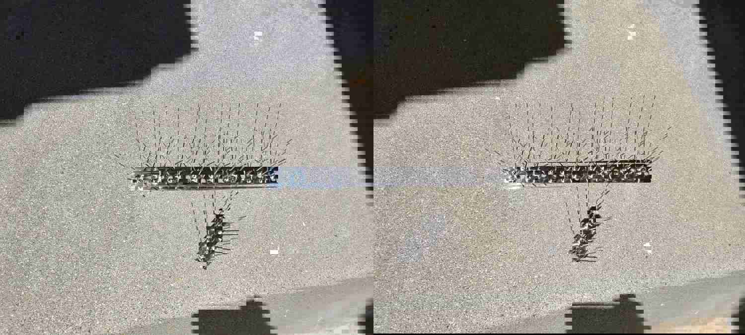 903498