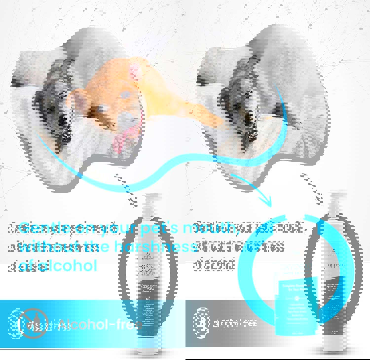 913383