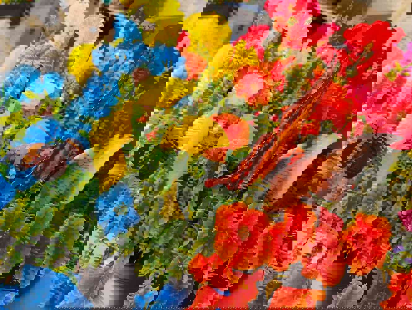 916283