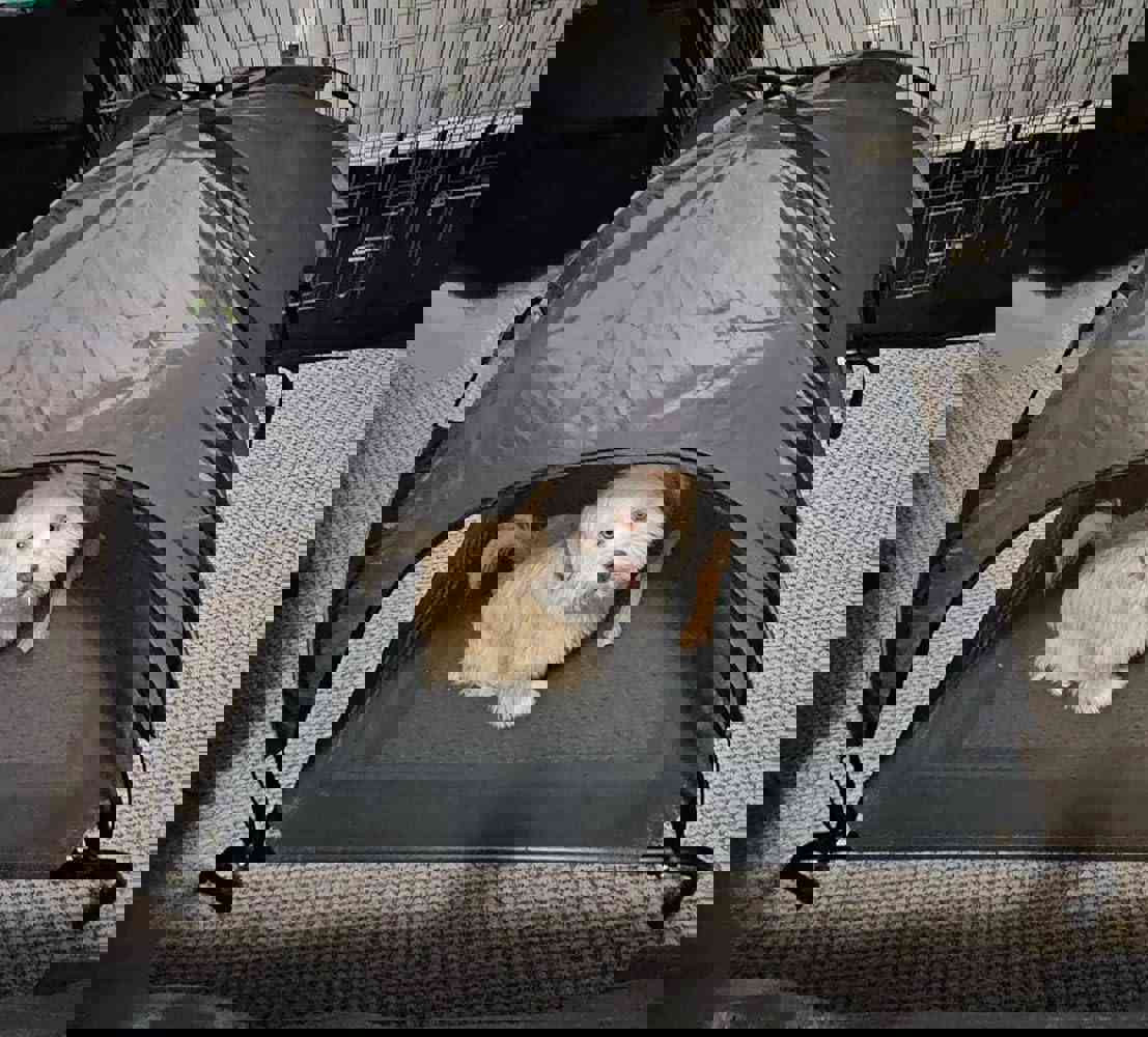 913078