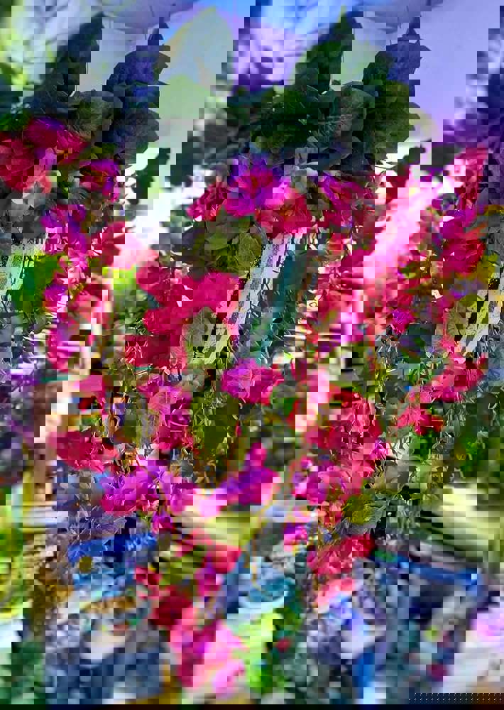 909641