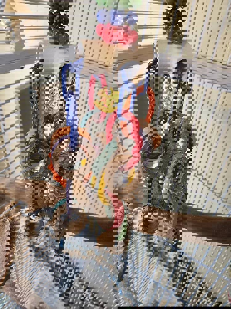 901849