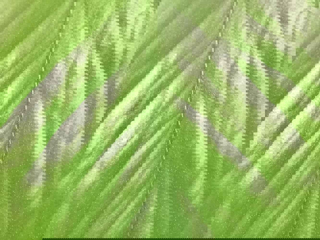 912841
