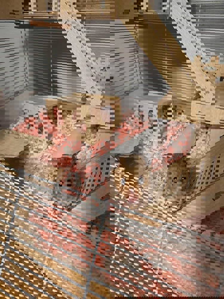 912156