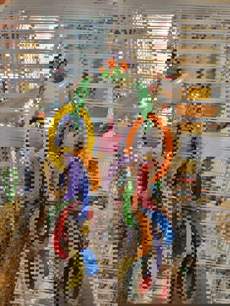 901848