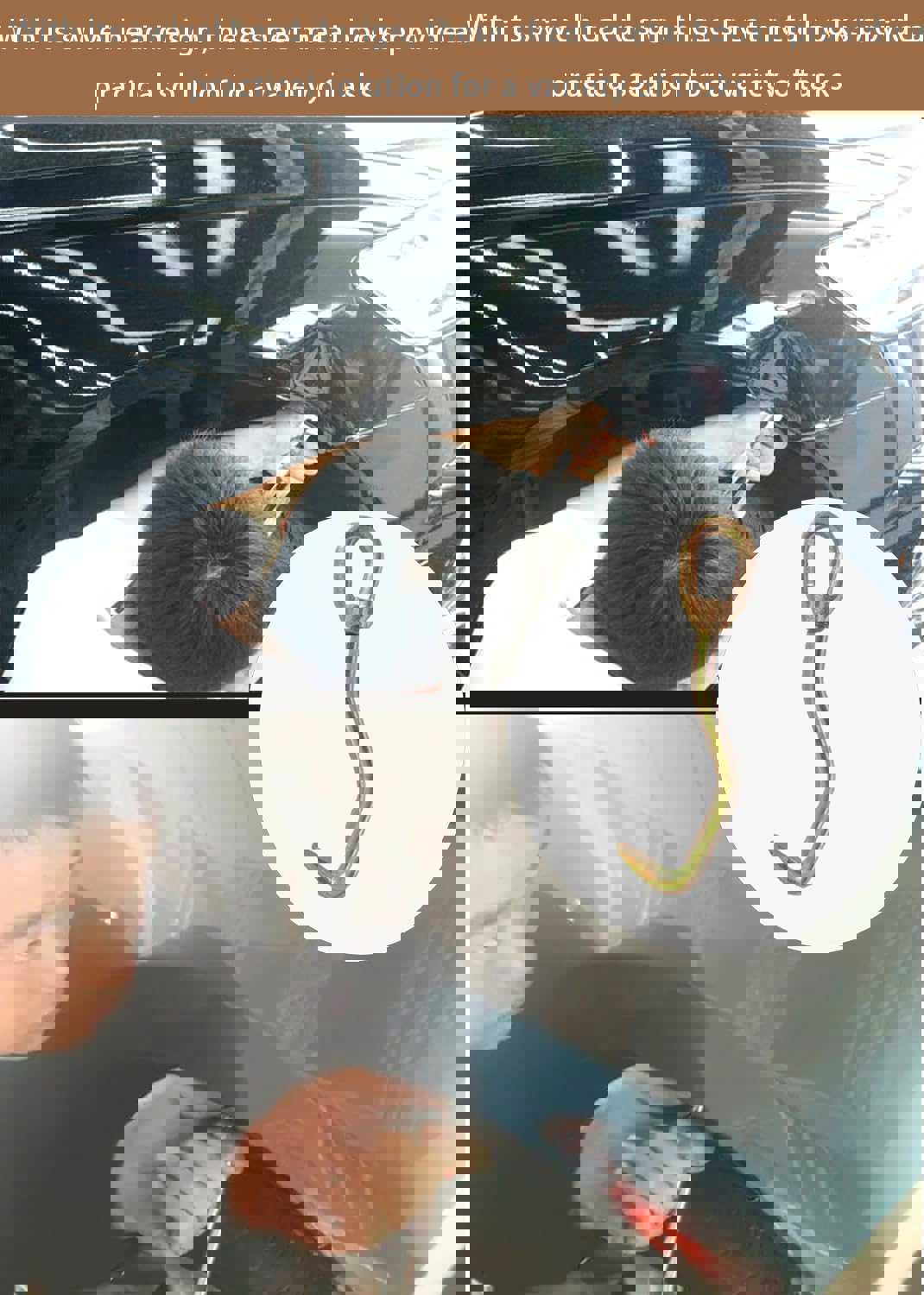 903962
