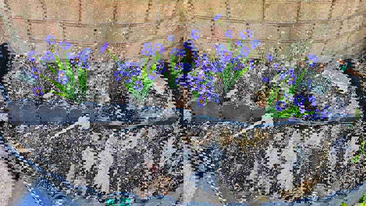 916296