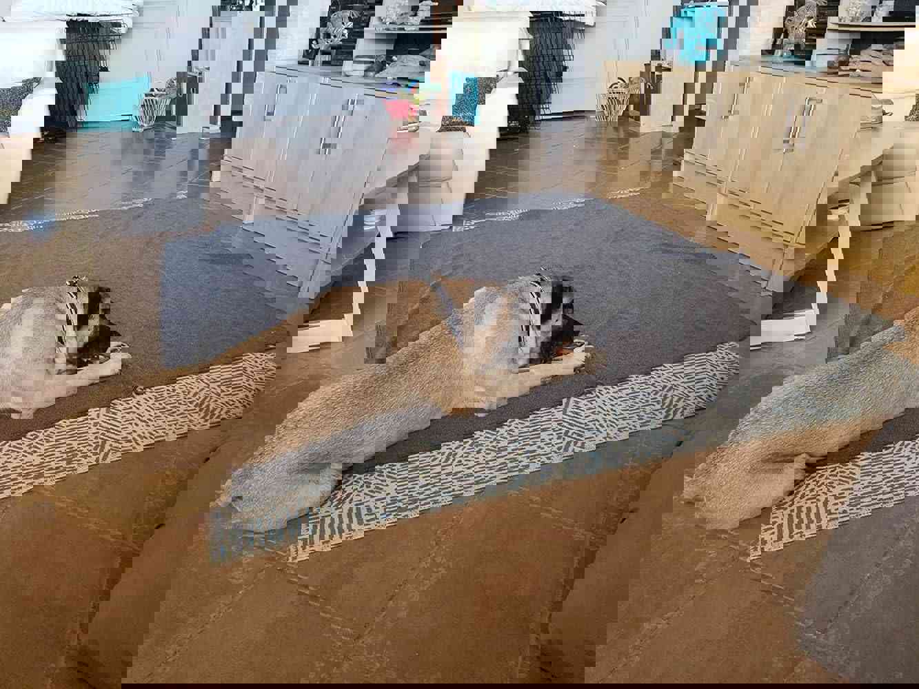 904617
