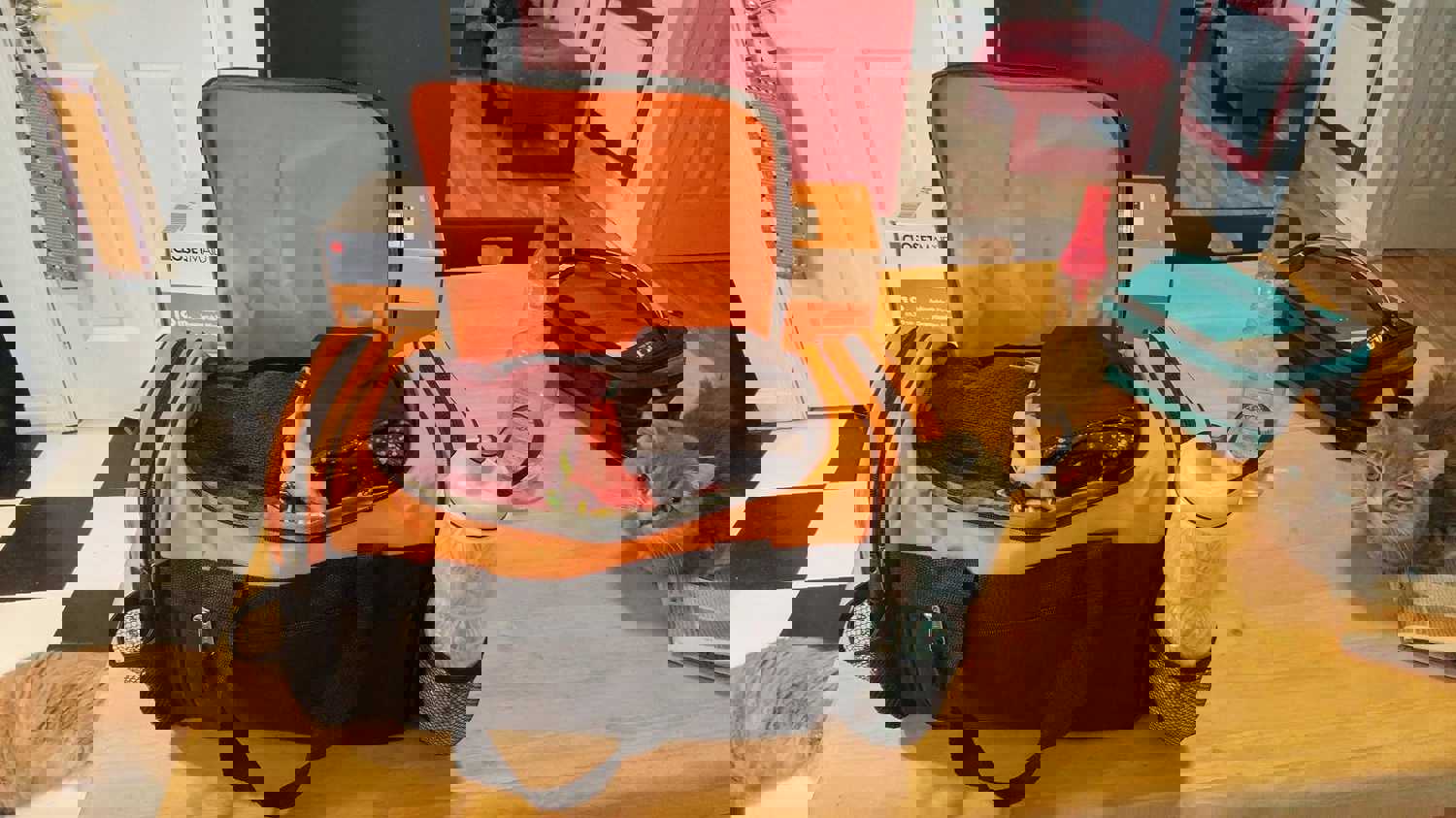 905937